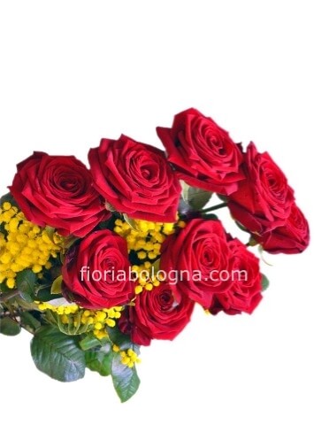 Rose rosse a gambo lungo con mimosa