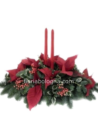 Composizione natalizia con stelle